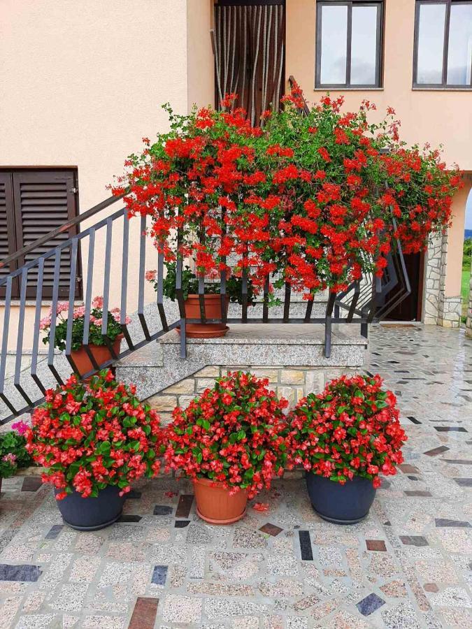 Apartman Martina Daire Kršan Dış mekan fotoğraf